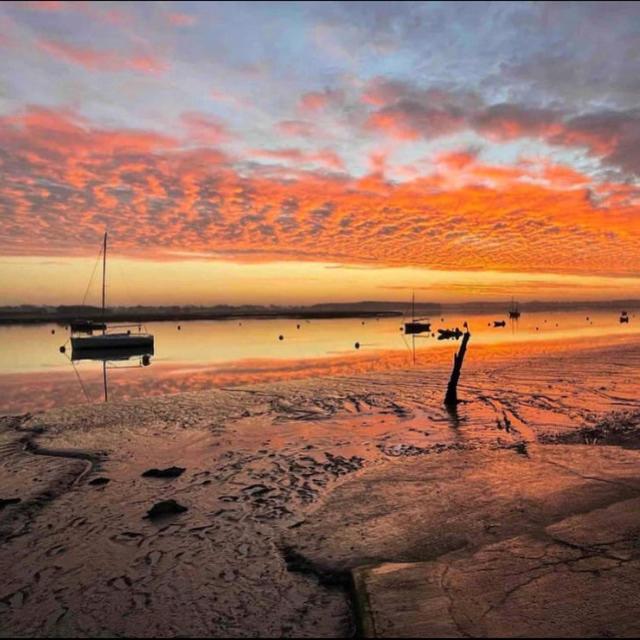 Rockhopper Cottage, Waldringfield ウッドブリッジ エクステリア 写真